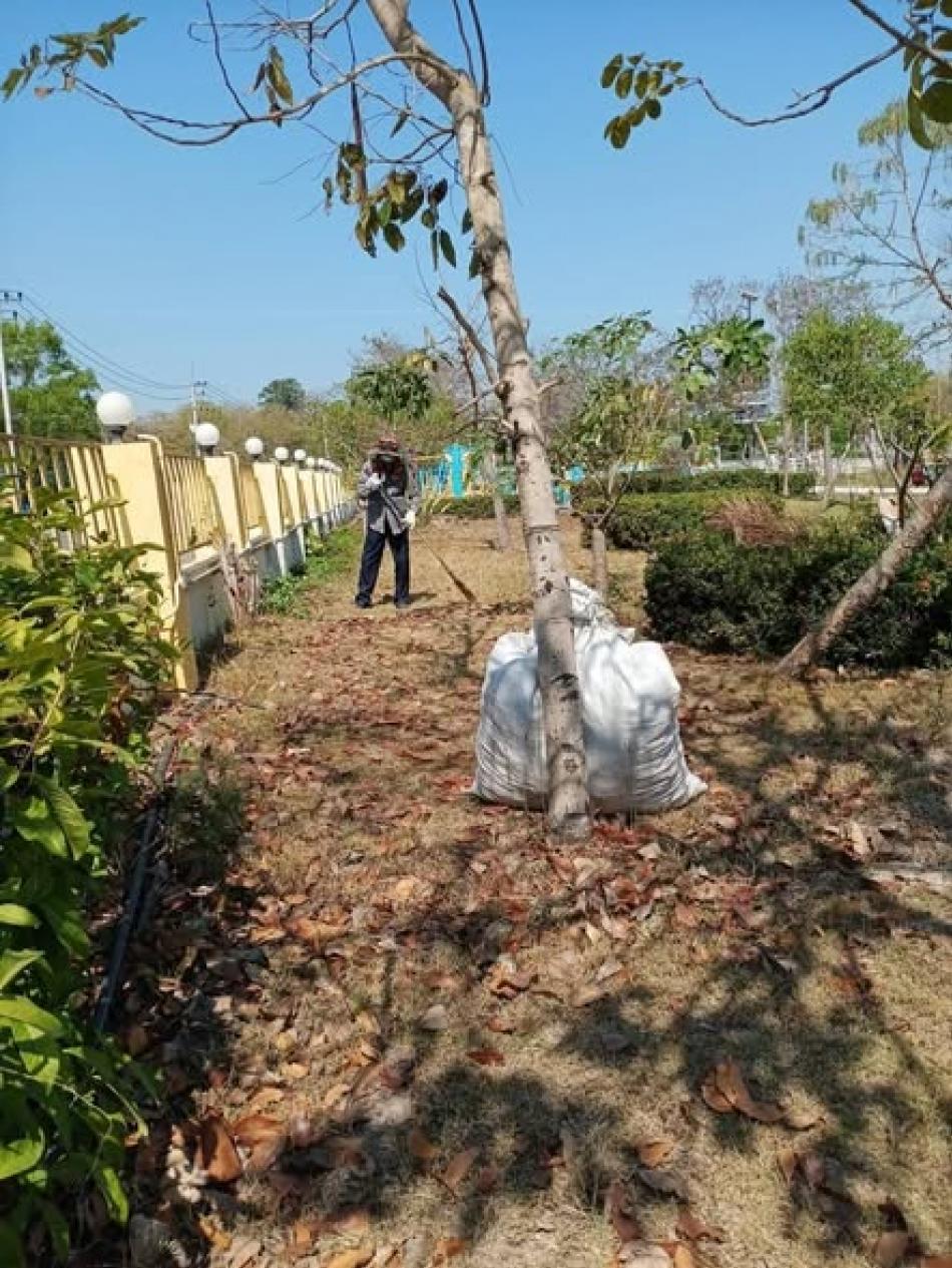 วันพฤหัสบดีที่ 29 มกราคม 2569 เทศบาลตำบลบ้านจั่น  ทำความสะอาดบริเวณสวนสาธารณะเฉลิมพระเกียรติหนองกลิ้ง เพื่อปรับปรุงภูมิทัศน์ให้มีความสะอาด สวยงาม และเป็นระเบียบเรียบร้อย